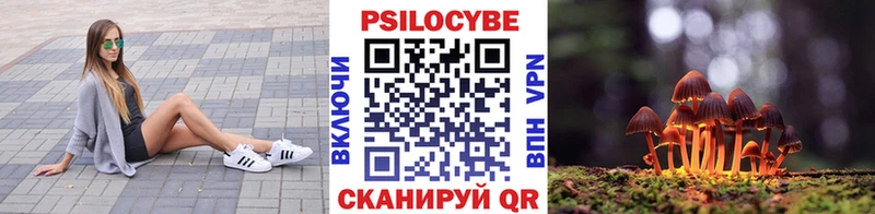 Галлюциногенные грибы Psilocybe  Катав-Ивановск 