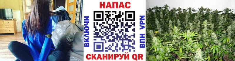 hydra как зайти  Катав-Ивановск  Бошки Шишки Amnesia  как найти  